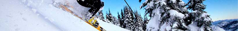 ski